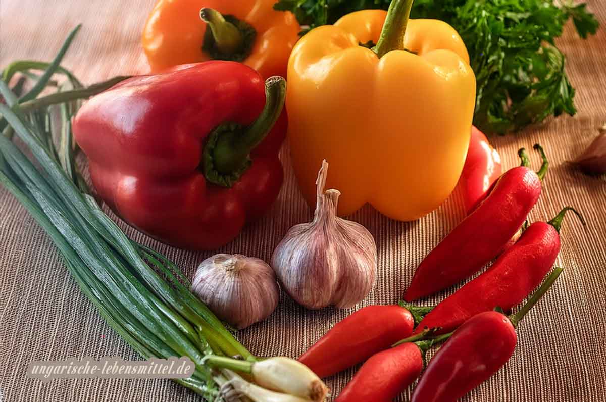 Die ungarische Küche wartet auf Dich: Erlebe die Vielfalt von Ungarns kulinarischem Erbe. Ob Gulasch, Langos oder Kürtőskalács – jedes Gericht erzählt eine Geschichte und bringt das Flair der ungarischen Lebensart direkt in Dein Zuhause.