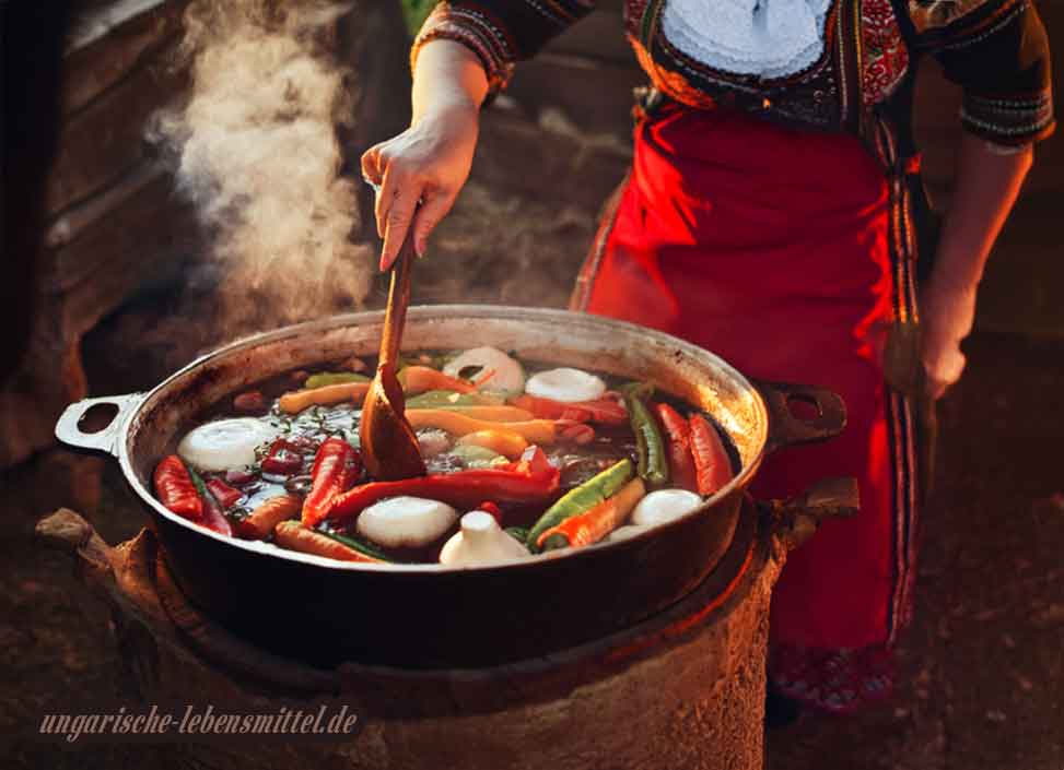 Ungarische Lebensmittel, Rezepte und Gewürze – hier dreht sich alles um den echten Geschmack Ungarns. Von Paprika bis Pörkölt: Entdecken Sie, was die ungarische Küche so besonders macht. Einfache Rezepte und typische Zutaten laden zum Nachkochen ein.